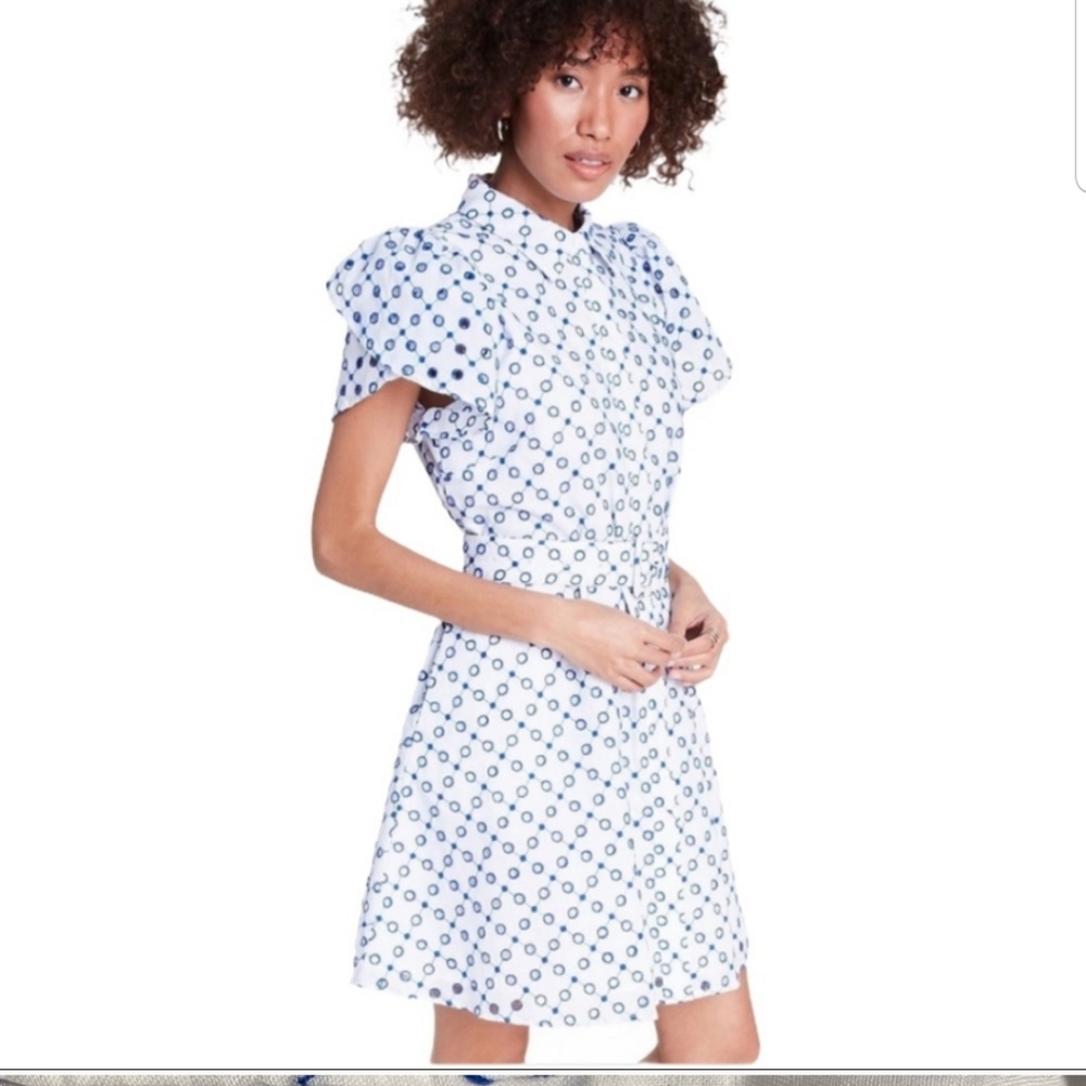 Alexis Dot Tulip Short Sleeve Blue White Embroidered Mini Dress - Picture 2 of 16